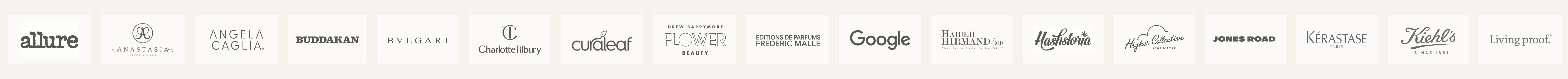 Brands and clients including Allure, Bvlgari, Charlotte Tilbury, Curaleaf, Google, Drew Barrymore Flower Beauty, Higher Collective, Jones Road, Kerastase and Kiehl's